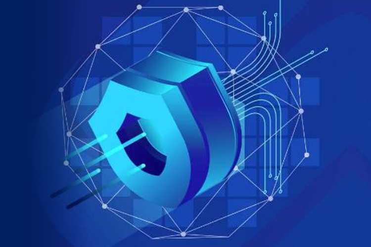 Ransomware Response