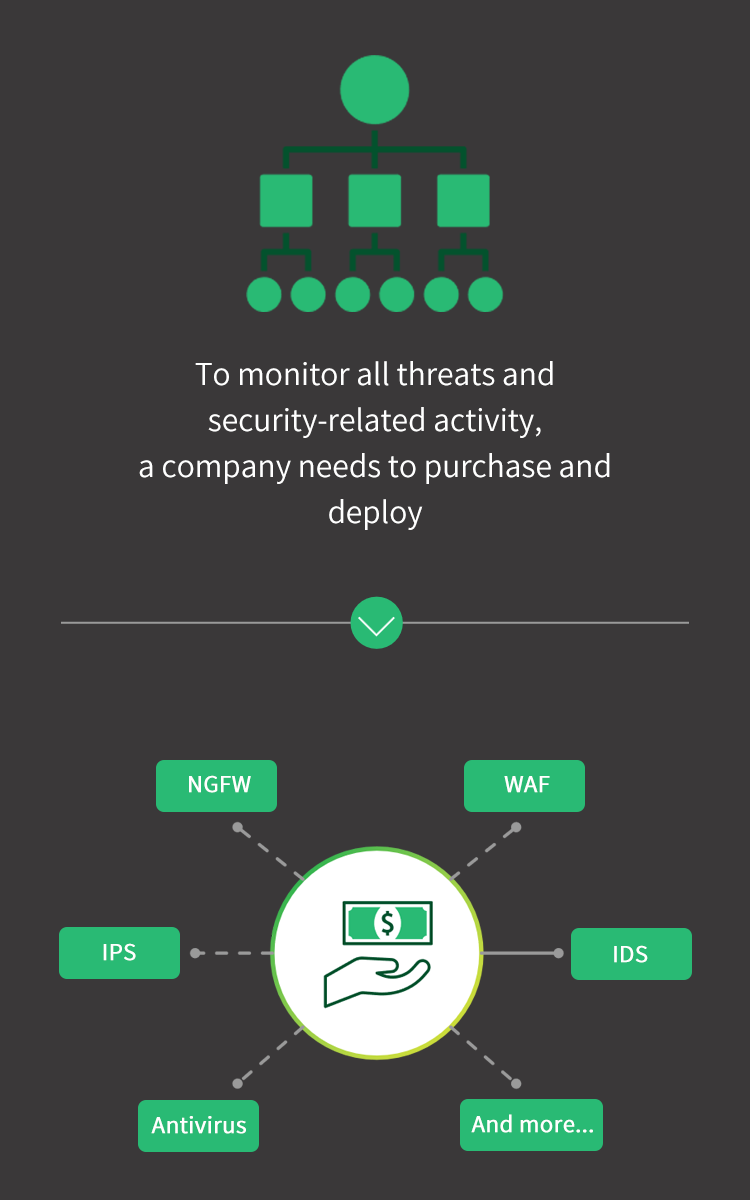 Traditional Security Setup